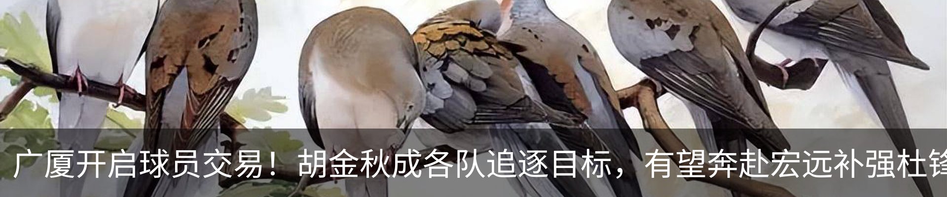 新闻中心